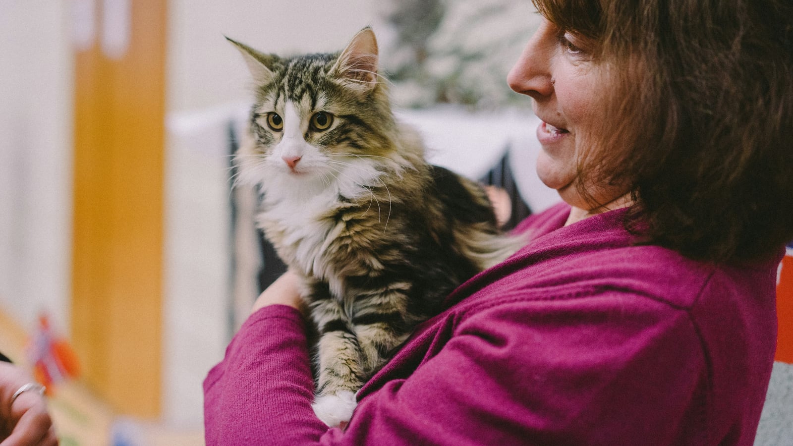 A smiling woman holds a long haired tabby and white cat in her arms indoors
