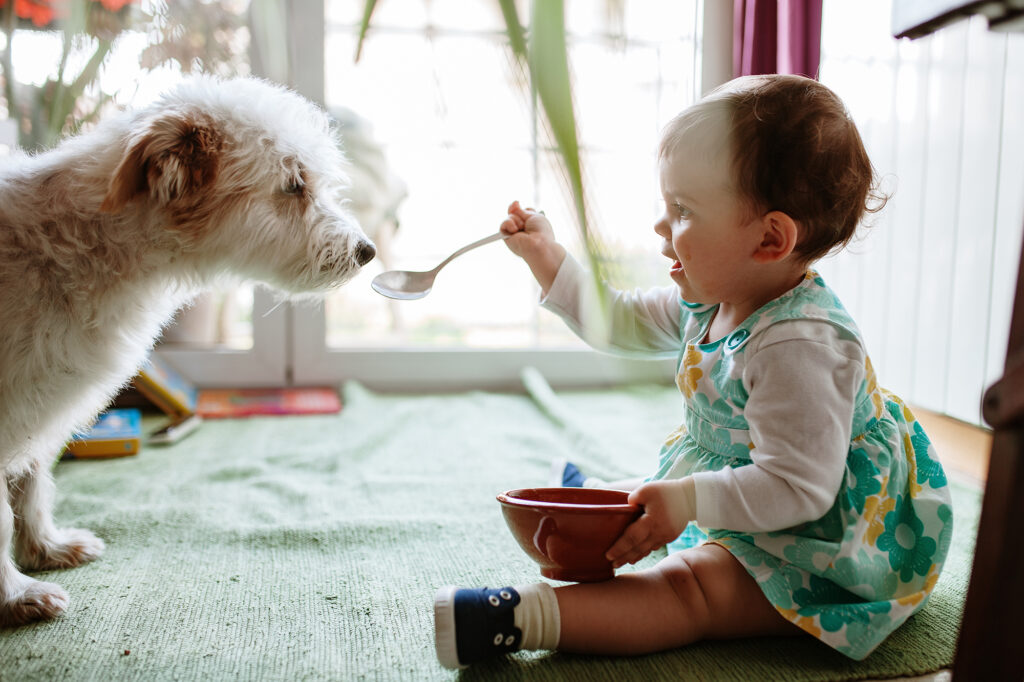 NatiPets educates Cincinnati Residents on how to properly introduce your dog to a newborn baby