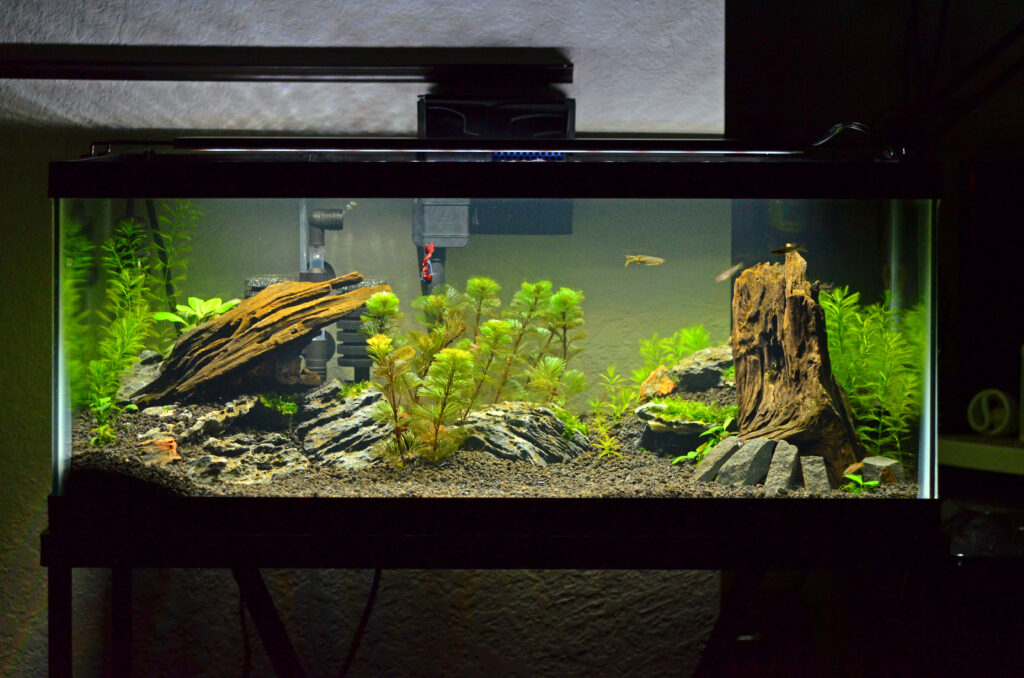 NatiPets gives information to Cincinnati residents on how to pick out the right tank size for your fish