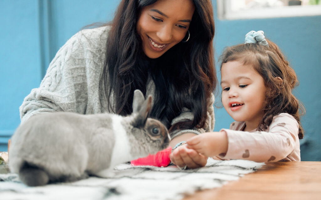 Tips and information for Cincinnati residents about how to care for a pet rabbit