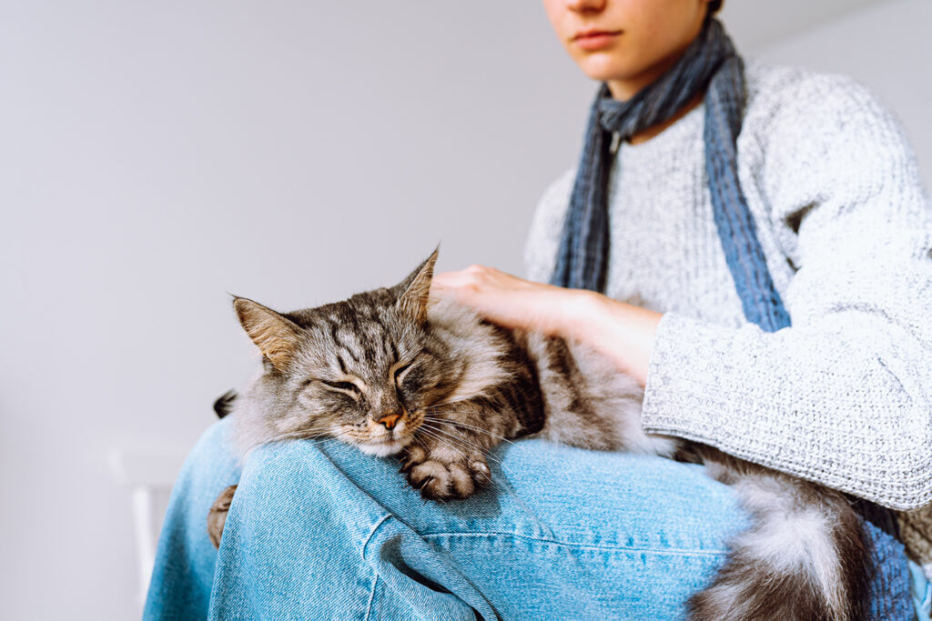 NatiPets let's Cincinnati residents know how to tell when your pet cat is feeling sick
