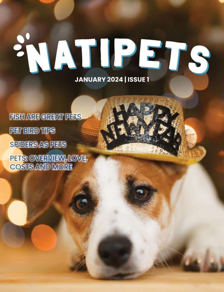 Natipets: January 2024 | Issue 1 Fish are great pets Pet Bird Tips Spiders as Pets Pets: Overview, Love, Costs, and more