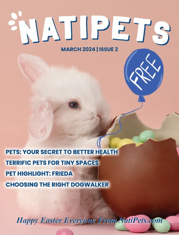 Natipets: March 2024 | Issue 2 Pets: Your Secret to Better Health Terrific Pets for Tiny Spaces pet Highlight: Frieda Choosing the Right Dogwalker