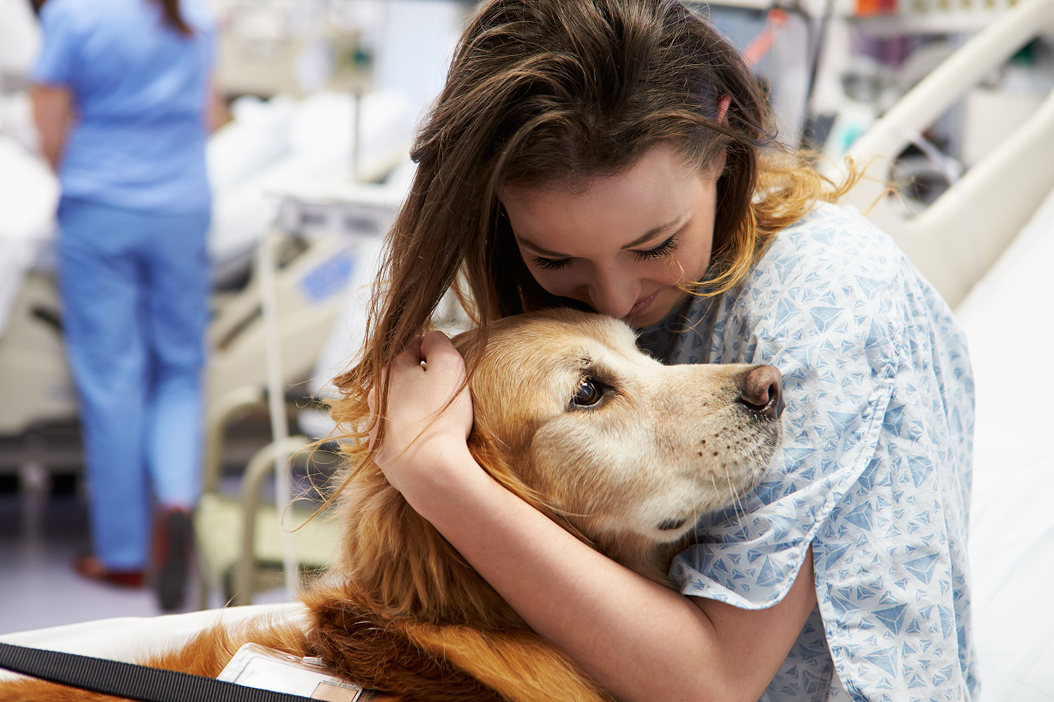 Therapy-dog